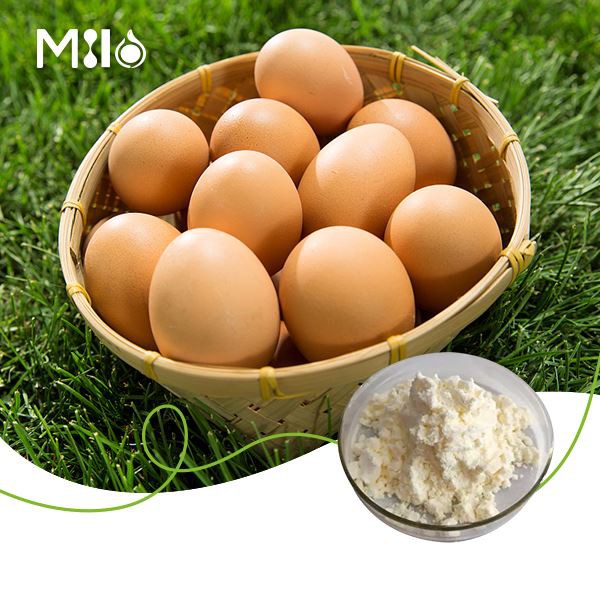 Serbuk Albumen Putih Telur