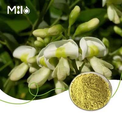 Serbuk Quercetin Dihydrate