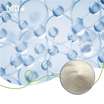 Kolagen Jenis II yang tidak didenaturasi